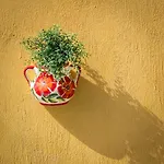 Margherita Vilă